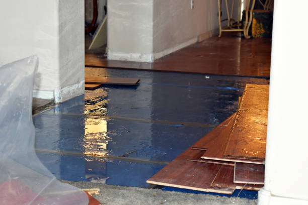 Professional Burst Pipe Cleanup technician working in Newton Center, MA