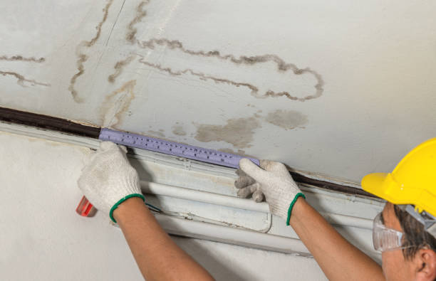 Reliable Burst Pipe Cleanup contractor in Newton Center, MA by Local Water Damage Repair